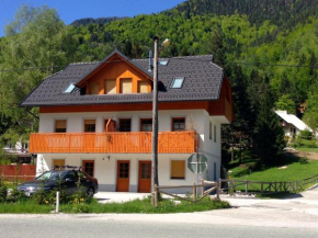 Отель Apartment Brina, Краньска Гора